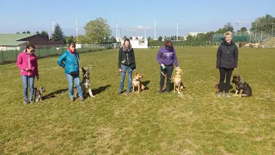 Club d'Éducation Canine Toutes Races : Amicale du Berger de Caluire
