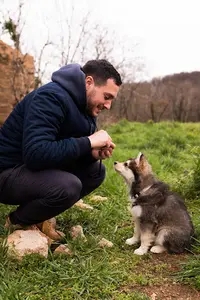 Marius Denuel - Éducateur Canin