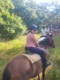 Ferme Equestre Chez Maiwenn