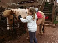 Les Poneys du Rougier