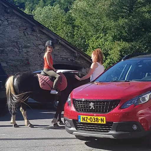 Les Poneys de Julie