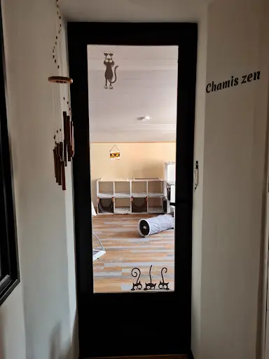 Chamis Zen