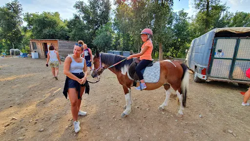 Aux Poneys d'Eden