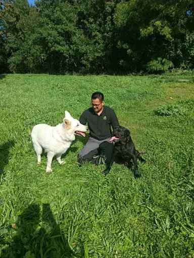 Ini S Dog - Éducateur & Comportementaliste Canin