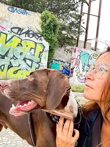 Moustache N’joy - Educateur Canin Comportementaliste Canin - Mandelieu