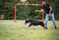 Bastien - Educateur Comportementaliste Canin