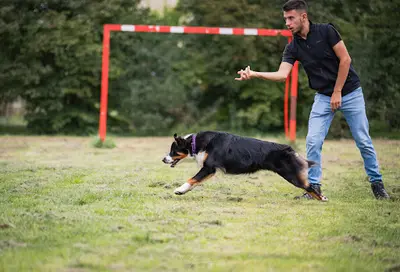 Bastien - Educateur Comportementaliste Canin