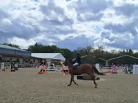 Equi-normandie