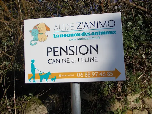 Aude Z Animo