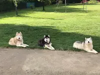 Centre Canin et Félin la Grange aux Loups