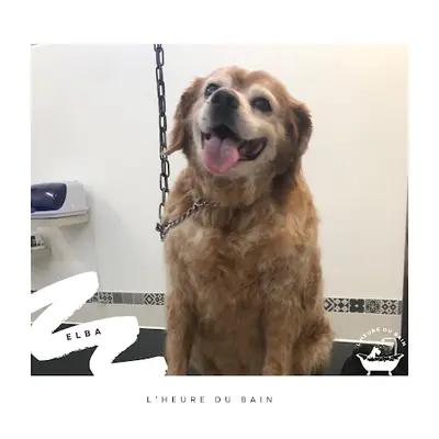 l'Heure du Bain