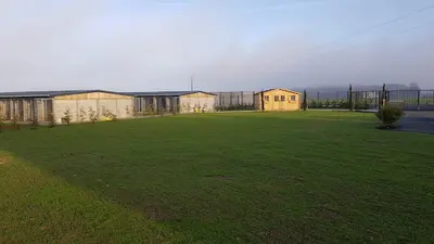 Pension Canine Paradisdog