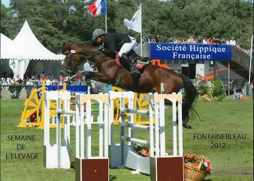 Ecurie du Milon