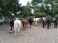 Centre Equestre l'Appaloosa
