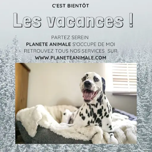 Planete Animale