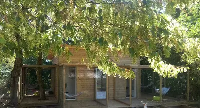 A Lovely Pets Home