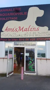 Amismalins
