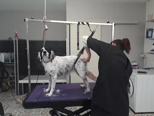 Aux Ciseaux Magiques
