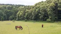 La Foucheraie