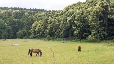 La Foucheraie