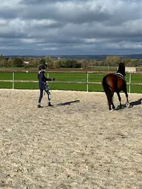 Les Cavaliers du Parc