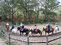 Centre Equestre les Menhirs
