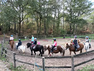 Centre Equestre les Menhirs