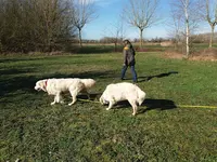 Leslie & Compagnie