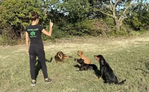 Dog Educ Centre Canin