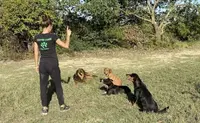 Dog Educ Centre Canin