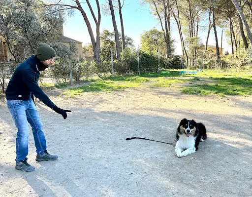 En Terrain Canin 84 – Éducateur Canin À Carpentras (méthode Naturelle et Respectueuse)