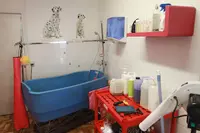 Zaz Toilettage