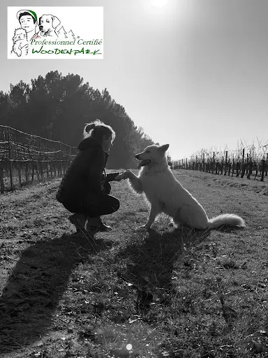 Oxmo Educ - Educateur & Comportementaliste Canin