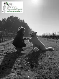 Oxmo Educ - Educateur & Comportementaliste Canin