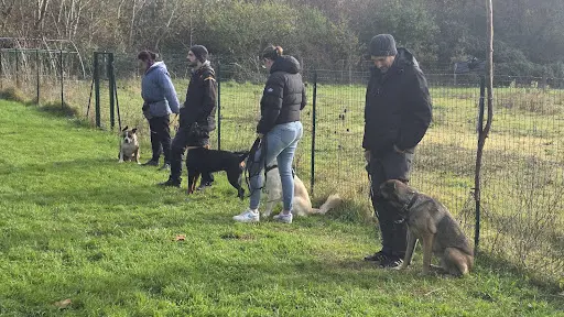 Lr l'Atelier Canin | Éducateur Canin
