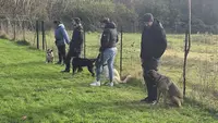 Lr l'Atelier Canin | Éducateur Canin
