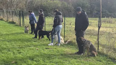 Lr l'Atelier Canin | Éducateur Canin