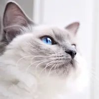 Mycathome