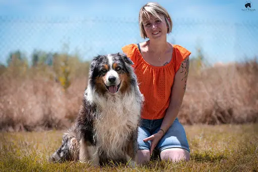 Domaine du Clos Australien : Élevage de Berger Américain Miniature Berger Australien et Welsh Corgi Pembroke Dans le 47