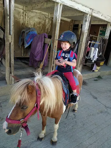 Ferme Equestre de Bertron