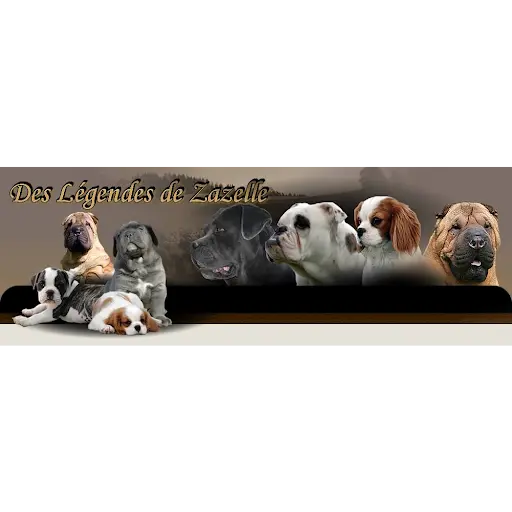 Des Legendes de Zazelle