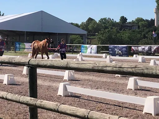 Endurance Equestre Castelsagrat