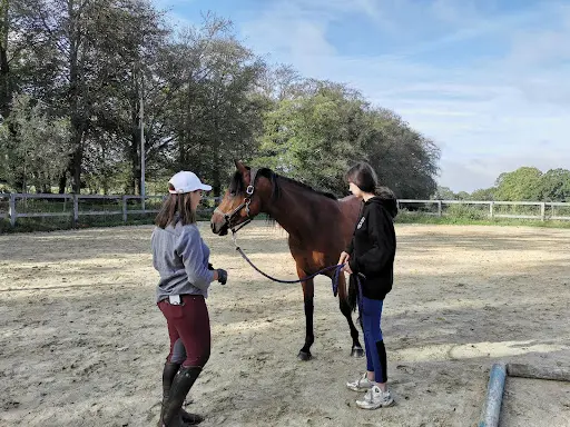 Marie Salis Moniteur Équitation