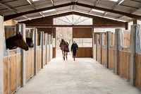 Écurie Wendy Terras | Ecurie Gers - Equitation