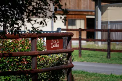 Haras de Castillon