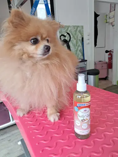 Aromterrapet