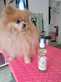 Aromterrapet