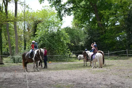Equizarra