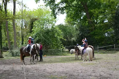 Equizarra