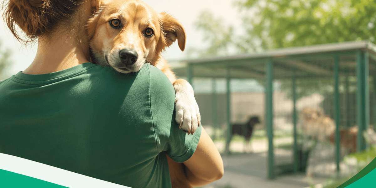 Associations pour la protection des animaux